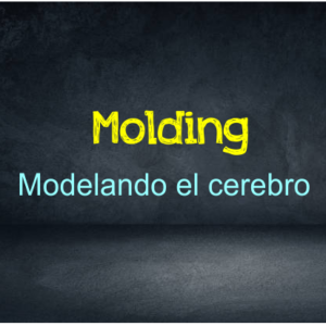 Paso1: Molding